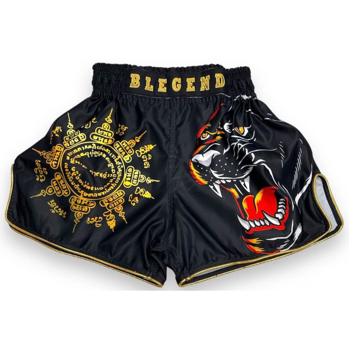 Шорты для бокса Blegend Magic Tiger M