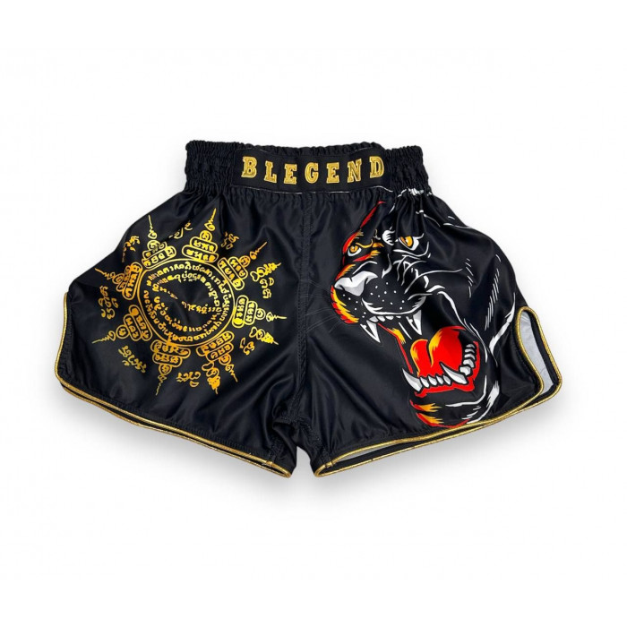 Шорты для бокса Blegend Magic Tiger M