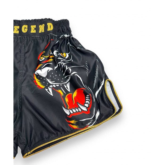 Шорты для бокса Blegend Magic Tiger S