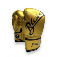 Боксерские перчатки BLEGEND 16 oz
