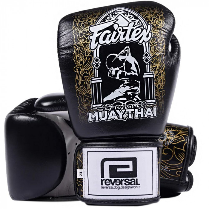 Боксерские перчатки Fairtex BGV premium Reversal 10 oz