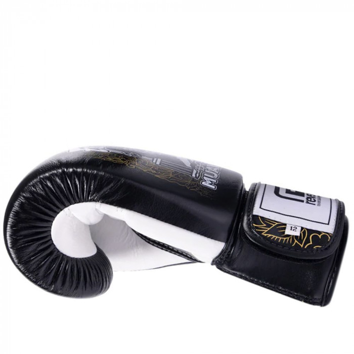 Боксерские перчатки Fairtex BGV premium Reversal 10 oz