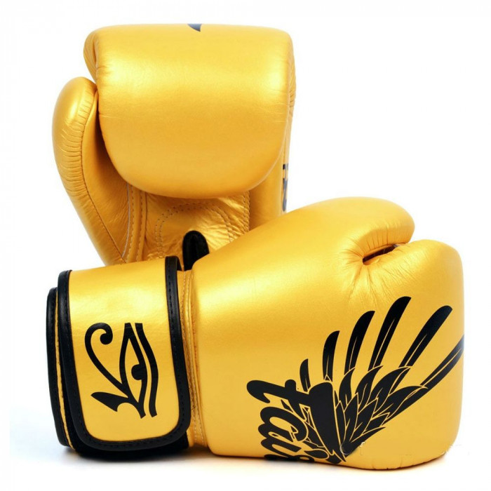 Боксерские перчатки Fairtex BGV1 Falcon 10 oz