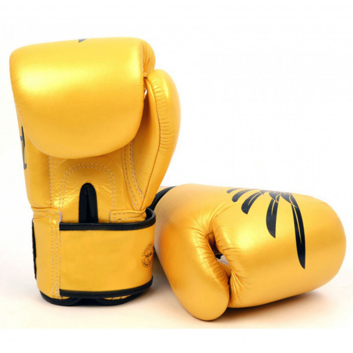 Боксерские перчатки Fairtex BGV1 Falcon 10 oz