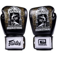 Боксерские перчатки Fairtex BGV premium Reversal 16 oz