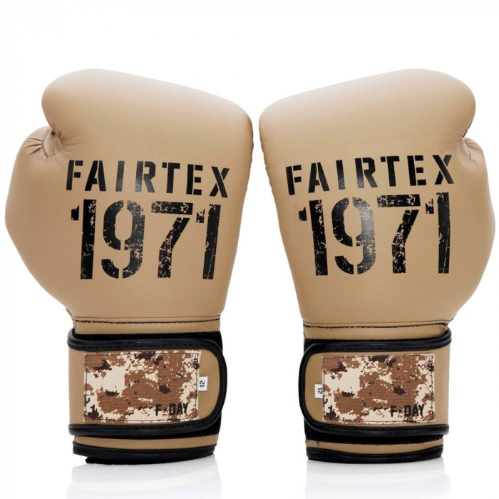 Боксерские перчатки Fairtex BGV25 F-DaY2 14 oz