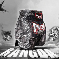 Шорты для бокса Twins Special TBS Rangda S