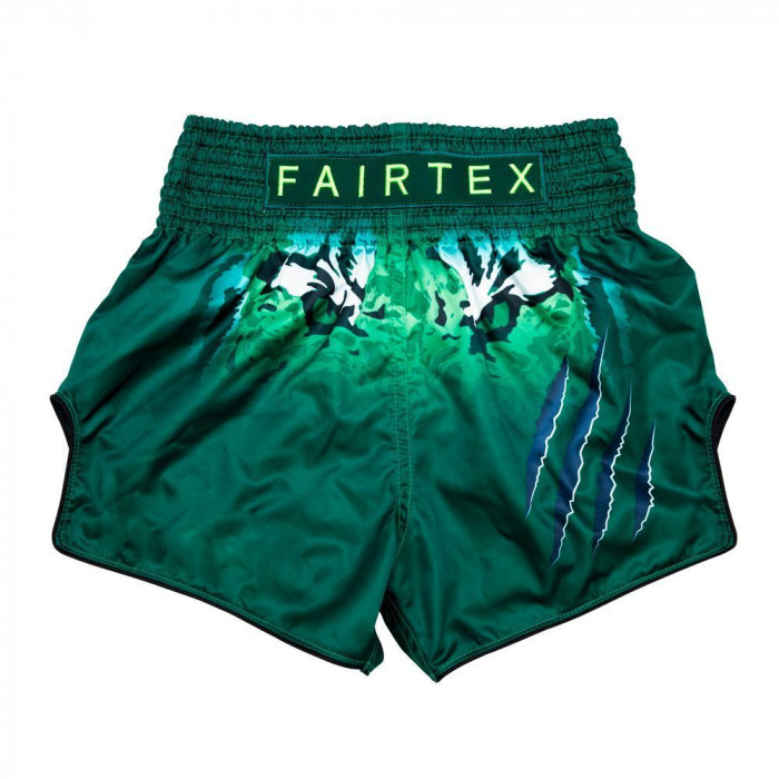 Шорты для бокса Fairtex BS1913 XL